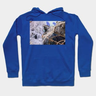 Fishing nets Hoodie